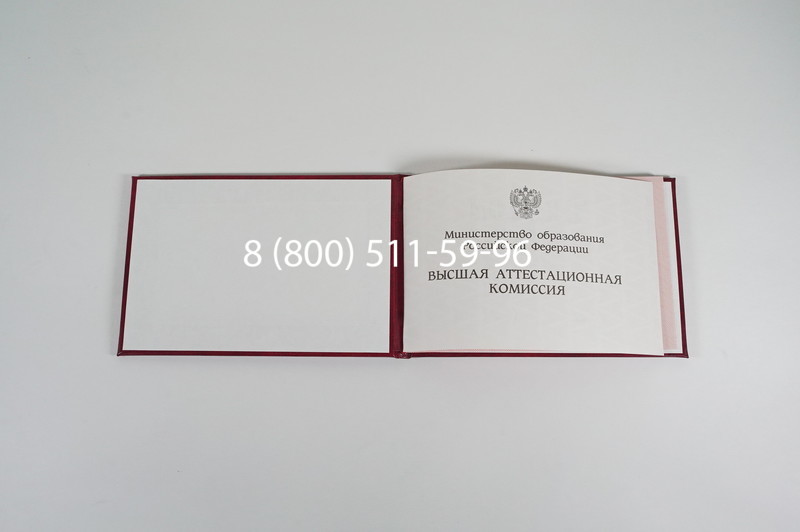 Диплом доктора наук 1995-2006 года в Омске Диплом доктора наук 1995-2006 года в Омске