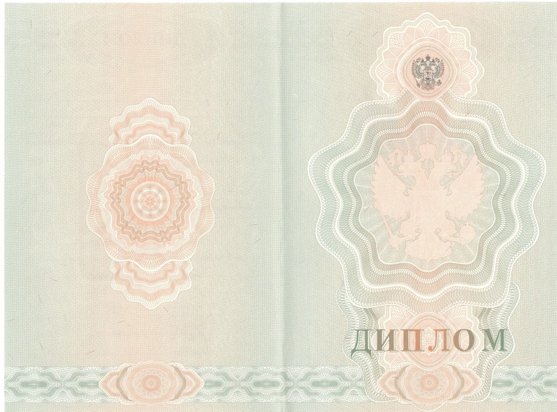 Купить Диплом о начальном образовании 2007-2009 годов в Омске Купить Диплом о начальном образовании 2007-2009 годов в Омске