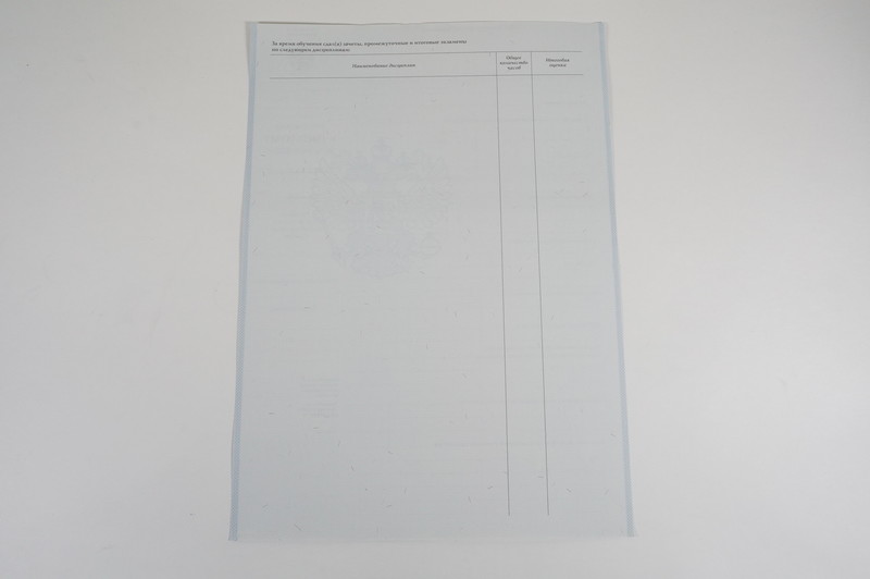 Диплом о начальном образовании 2007-2009 годов в Омске Диплом о начальном образовании 2007-2009 годов в Омске