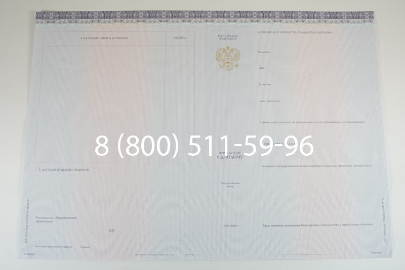 Диплом специалиста (КИРЖАЧ) 2014-2024 года в Омске Диплом специалиста (КИРЖАЧ) 2014-2024 года в Омске