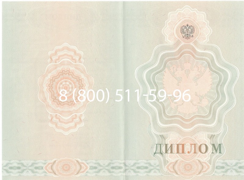 Купить Диплом училища 2007-2009 годов в Омске Купить Диплом училища 2007-2009 годов в Омске